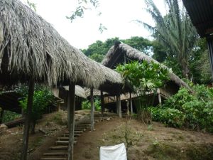amazon jungle wooden huts